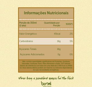 Kit 2X: Energético Mate com Limão Orgânico Amaz 355ml