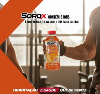 SOROX Bebida Hidratante Zero Açúcar com 8 Íons e Zinco para Imunidade, Baixa Caloria, Eletrolitos para Hidratação e Reposição Energética – 550ml (1-Pack)