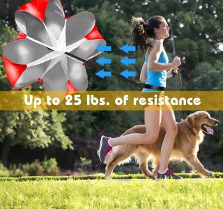 YGORTECH Conjunto de treinamento de agilidade de velocidade de futebol, escada de agilidade, 12 cones esportivos e treinador de chute de futebol, equipamento de treinamento de futebol para crianças e