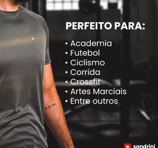 Kit 5 Camisas Dry-fit Sandrini Masculinas para Academia, Treino, Proteção UV + 2 Meias