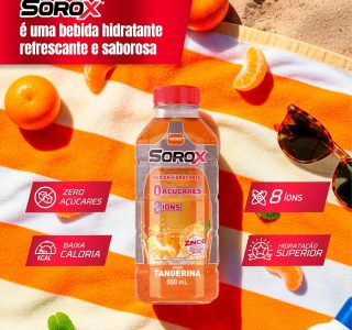 SOROX Bebida Hidratante Zero Açúcar com 8 Íons e Zinco para Imunidade, Baixa Caloria, Eletrolitos para Hidratação e Reposição Energética – 550ml (1-Pack)